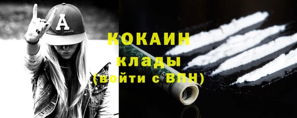 гидра Белокуриха