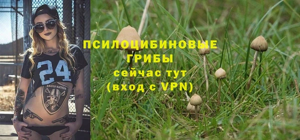 гидра Белокуриха