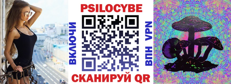 как найти   Окуловка  Псилоцибиновые грибы Magic Shrooms 